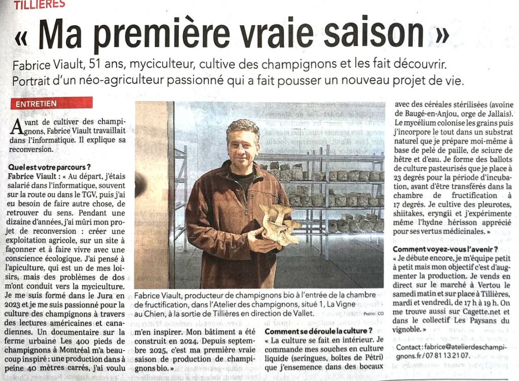 Article de presse / fabrice L’Atelier des Champignons