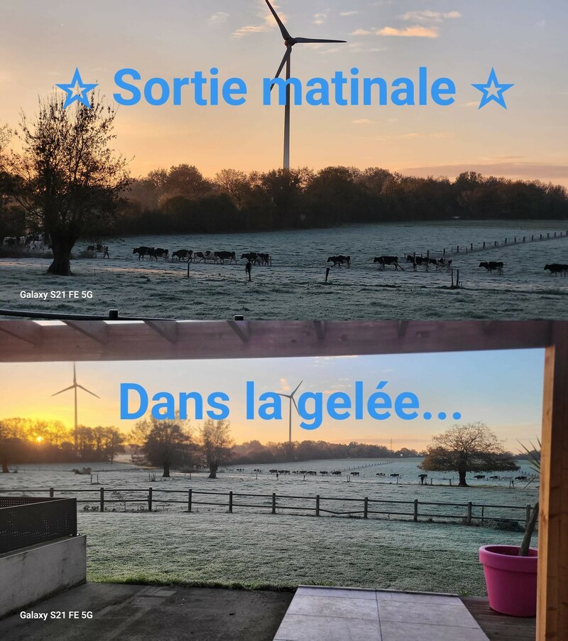 Gelées chez Tommes&Cie