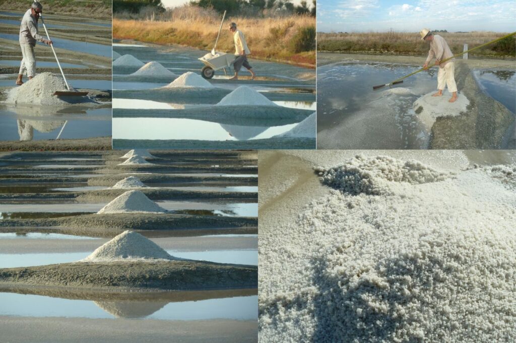 Thierry des Marais salants les Cholleaux !
