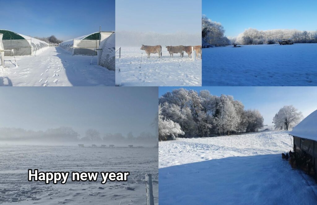 baisse des stocks de légumes