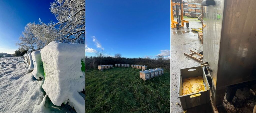 chez Vivien, apiculteur à la Miellerie Les 3 Vallées