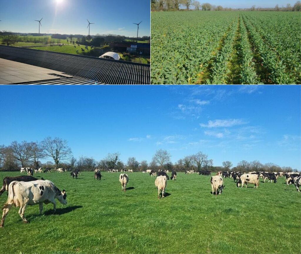 Des nouvelles des vaches laitières de chez … Tommes & Cie !