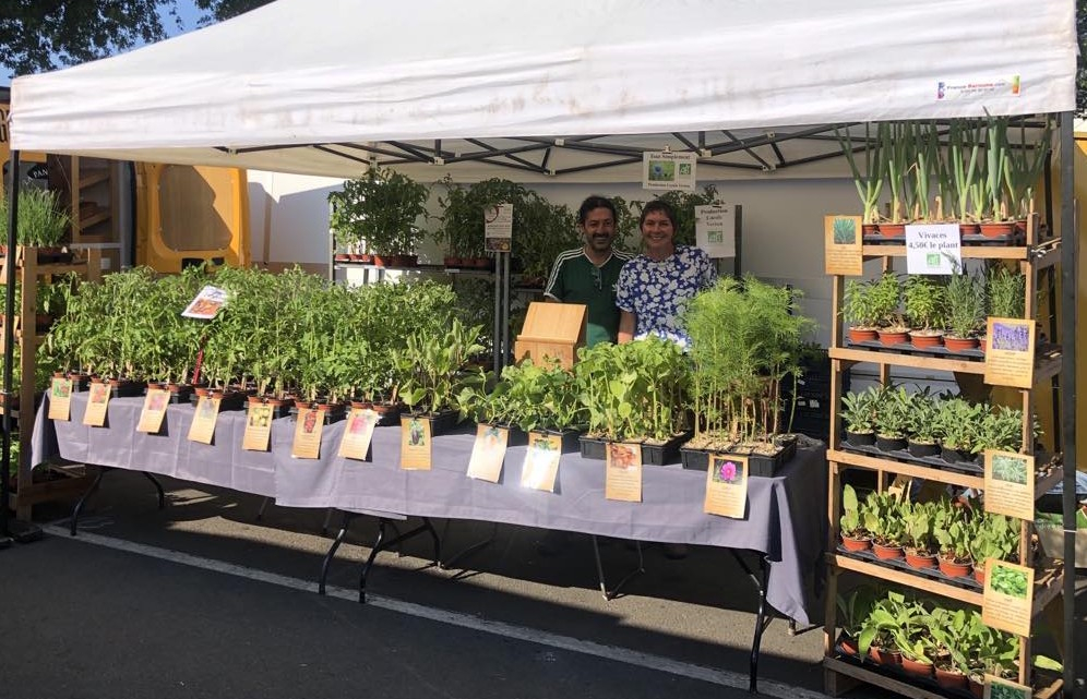 Les plants de « Tout Simplement », Vertou