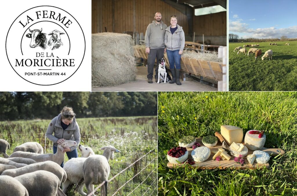 Nouveau producteur : Charles et Anne-Sophie, ferme de la Moricière (Pont-St-Martin) : produits laitiers de brebis !