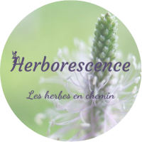 Herborescence-paysanne-herboriste