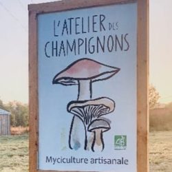 logo-atelier-des-champignons-exploitation